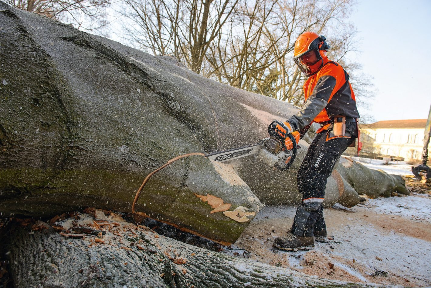 Motosega STIHL MS 661 barra 71 cm - immagine 2